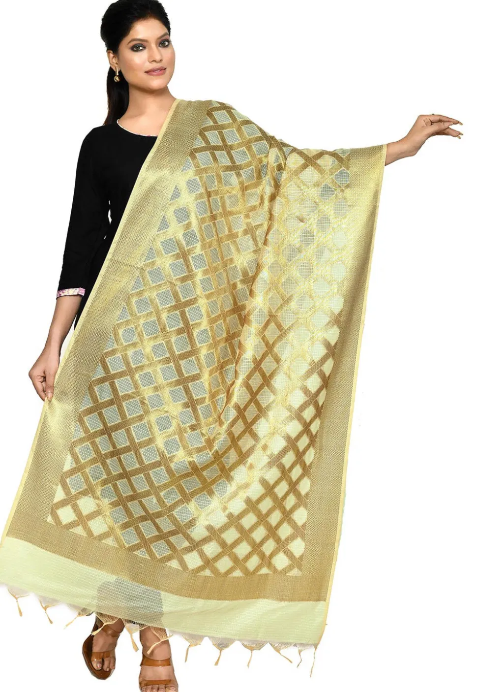 Banarasi Cotton Silk Dupatta in Light Beige