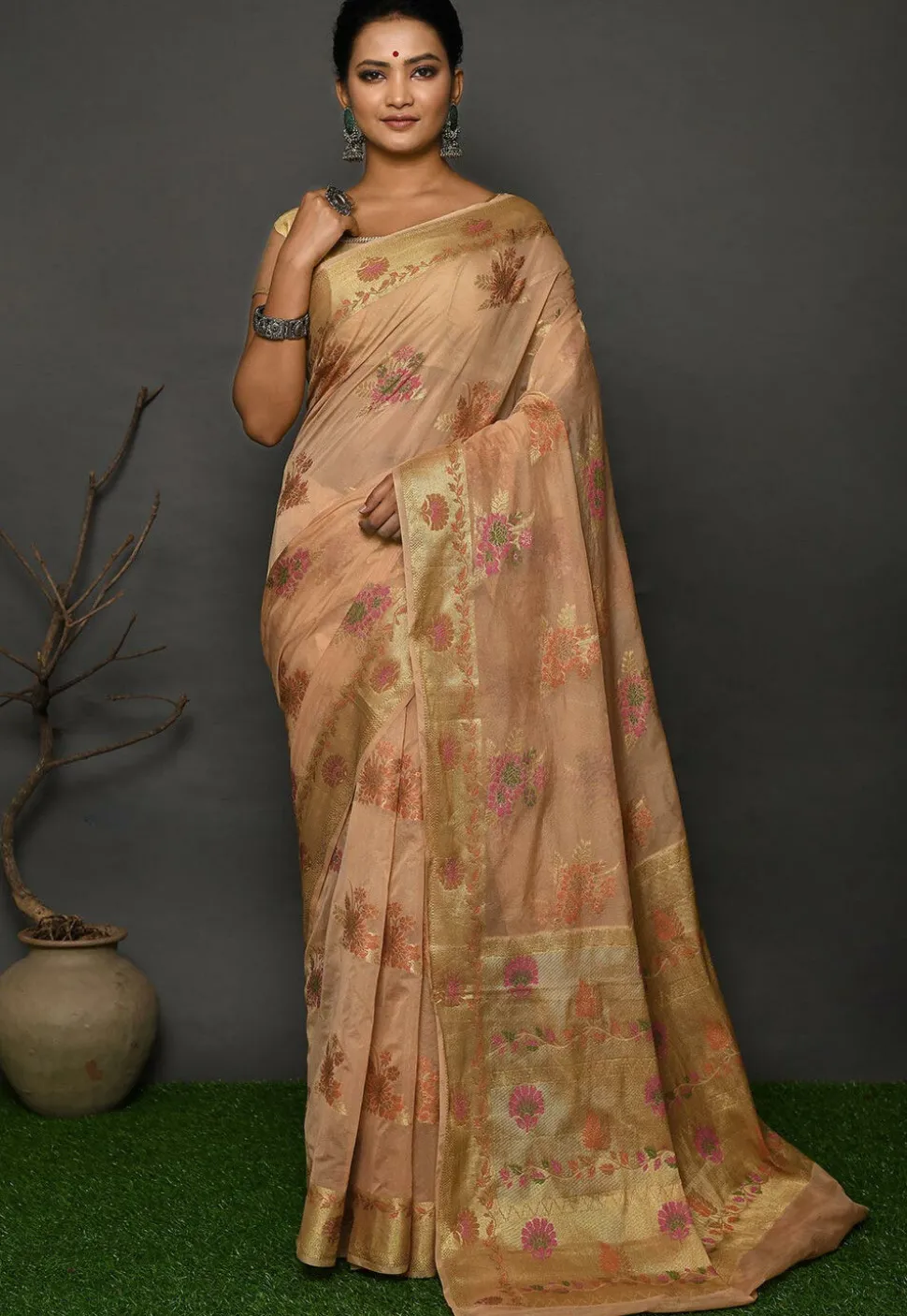 Banarasi Georgette Silk Saree in Beige