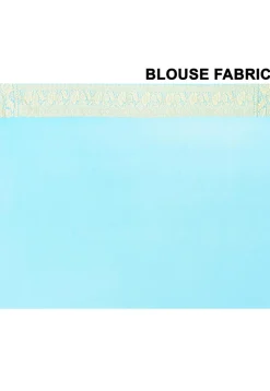 Banarasi Pure Chiffon Saree in Sky Blue