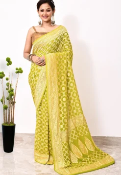 Banarasi Pure Chiffon Saree in Light Green