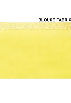 Banarasi Pure Chiffon Saree in Light Green
