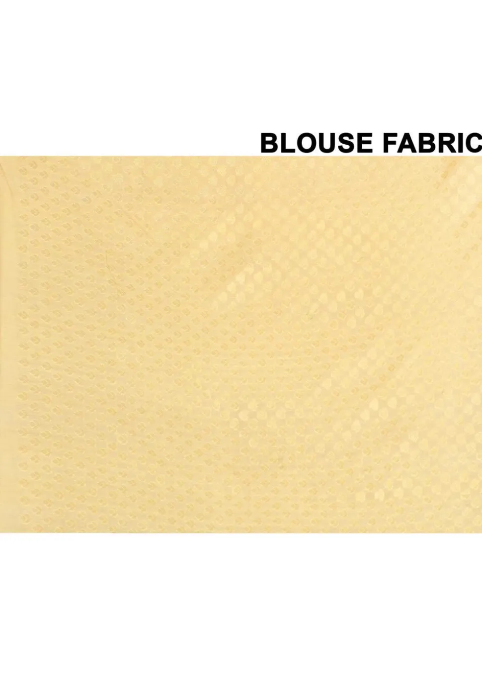 Banarasi Pure Cotton Silk Saree in Beige