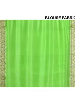 Banarasi Pure Georgette Silk Saree in Light Green