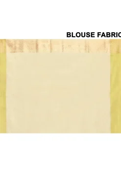Banarasi Pure Tissue Silk Handloom Saree in Grey