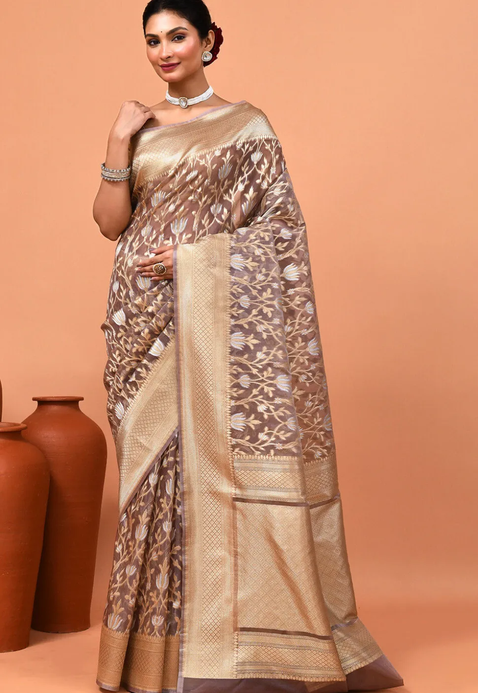 Banarasi Saree in Brown