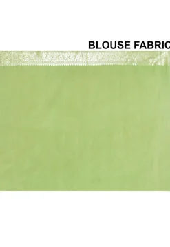 Banarasi Saree in Light Green