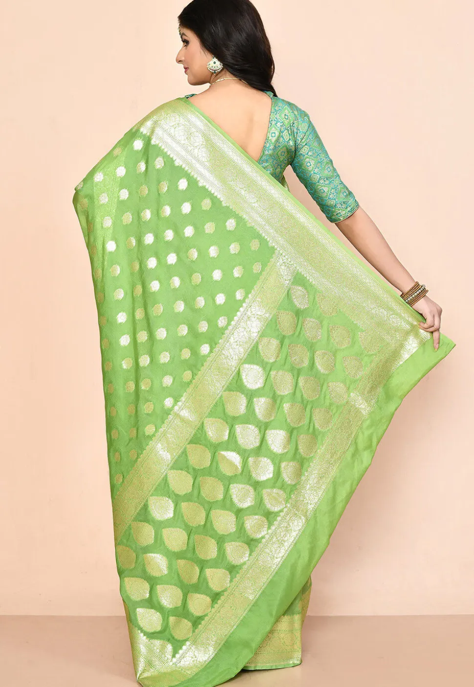 Banarasi Saree in Light Green