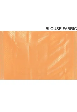 Banarasi Saree in Orange