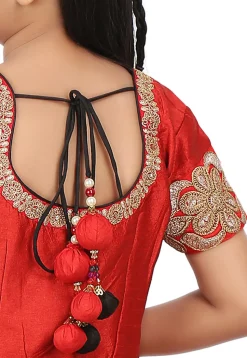 Bandhej Georgette A Line Lehenga in Red