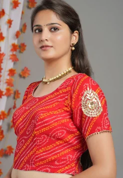 Bandhej Printed Georgette Blouse in Red