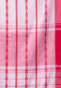 Bengal Handloom Pure Cotton Saree in Off White