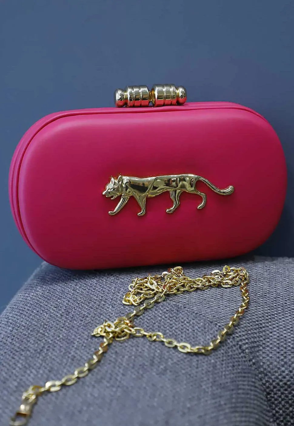 Brooch Rexin Rectangular Clutch Bag in Pink