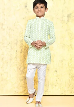 Chikankari Cotton Kurta Set in Light Green