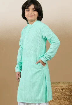 Chikankari Pure Cotton Kurta in Sea Green