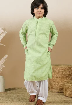 Chikankari Pure Cotton Kurta in Light Green