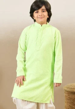 Chikankari Pure Cotton Kurta in Light Green