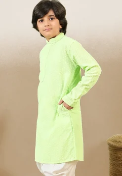 Chikankari Pure Cotton Kurta in Light Green