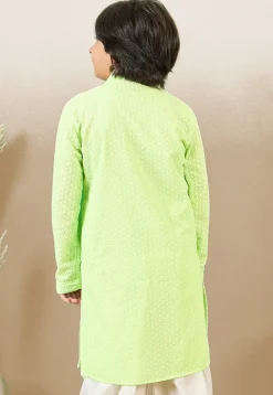 Chikankari Pure Cotton Kurta in Light Green