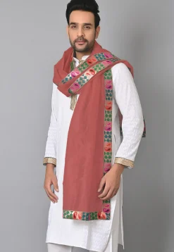 Contrast Border Pure Kota Tissue Men Dupatta in Peach