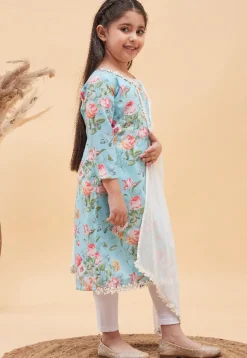 Digital Printed Cotton Straight Suit in Light Blue