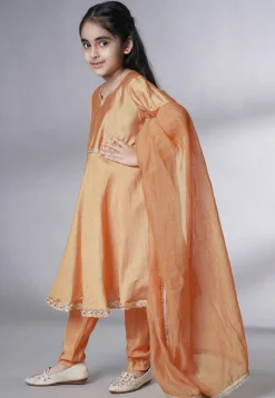 Embellished Cotton Silk A Line Suit in Dark Beige