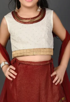 Embellished Georgette Shimmer Lehenga in Maroon
