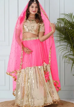 Embellished Net Dupatta in Coral Pink