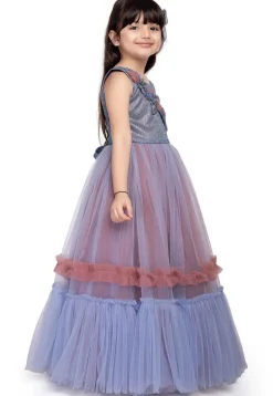 Embellished Net Gown in Blue
