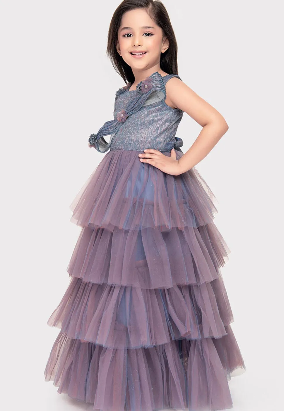 Embellished Net Gown in Dusty Blue and Purple