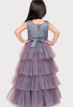 Embellished Net Gown in Dusty Blue and Purple
