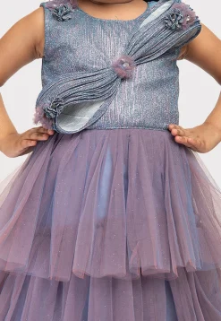 Embellished Net Gown in Dusty Blue and Purple