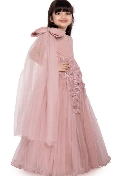 Embellished Net Gown in Peach