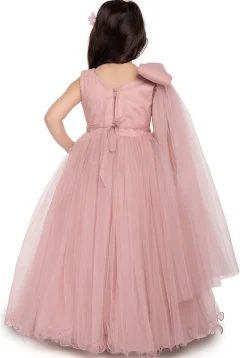Embellished Net Gown in Peach