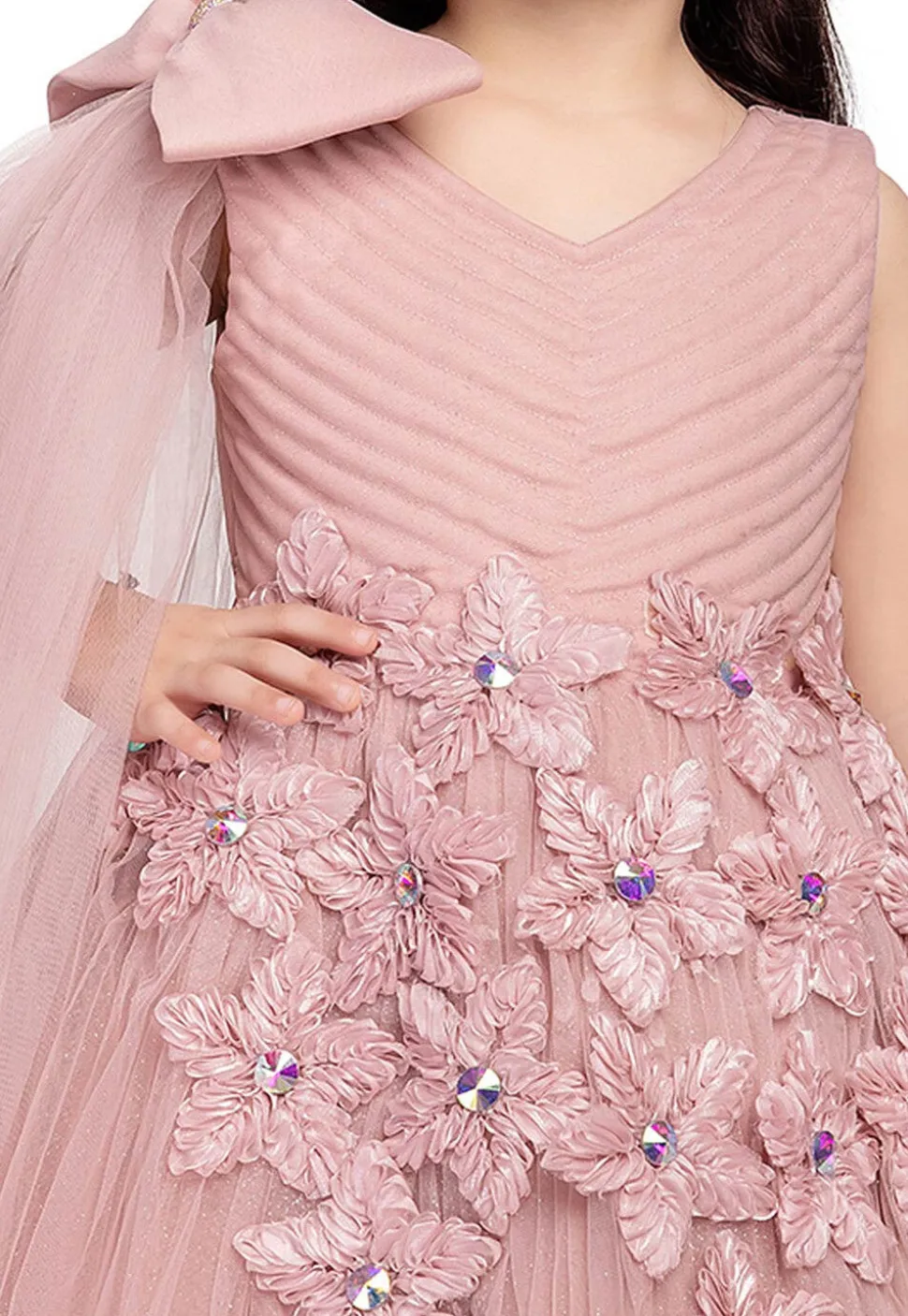 Embellished Net Gown in Peach