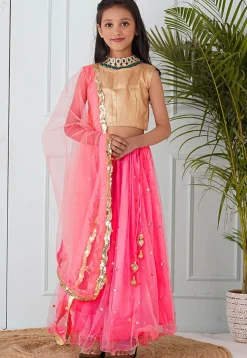 Embellished Net Lehenga in Coral Pink