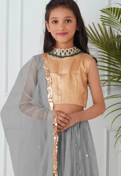 Embellished Net Lehenga in Grey