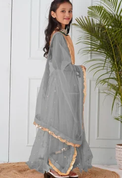 Embellished Net Lehenga in Grey