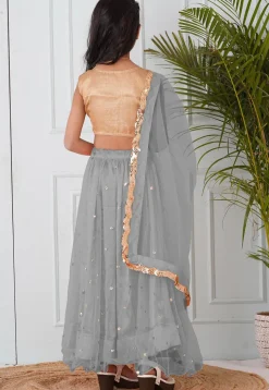Embellished Net Lehenga in Grey
