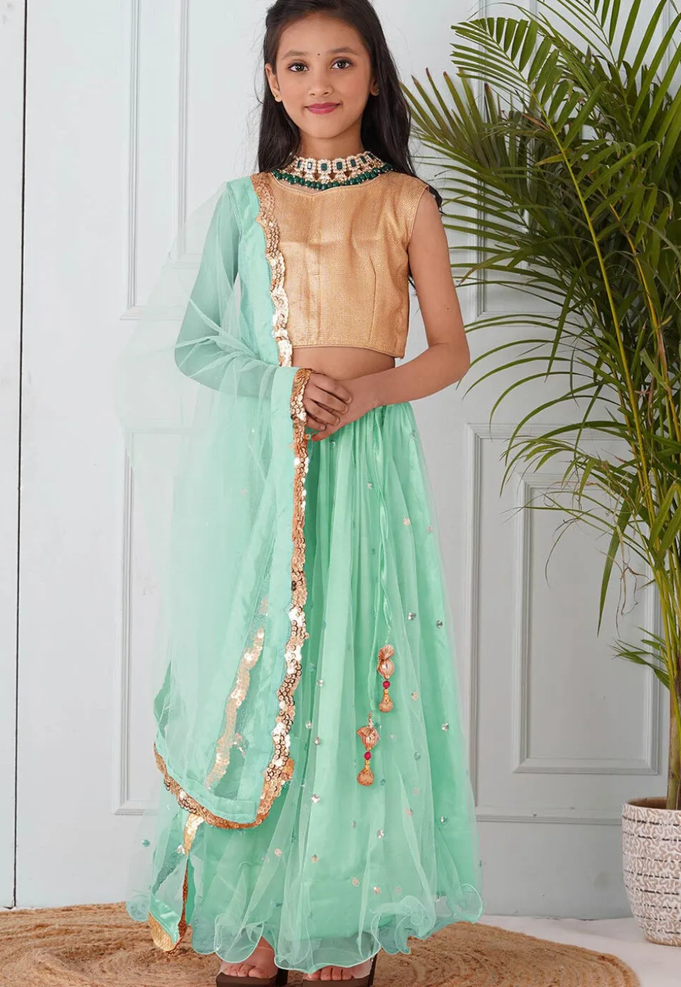 Embellished Net Lehenga in Pastel Green