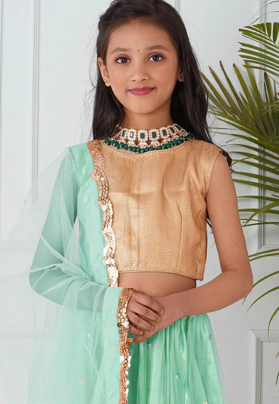 Embellished Net Lehenga in Pastel Green