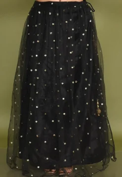 Embellished Net Lehenga in Black