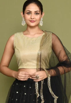 Embellished Net Lehenga in Black