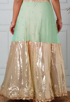 Embellished Net Skirt in Sea Green