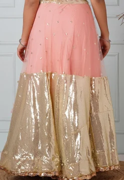Embellished Net Skirt in Peach