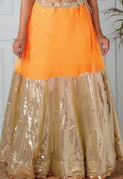 Embellished Net Skirt in Mustard