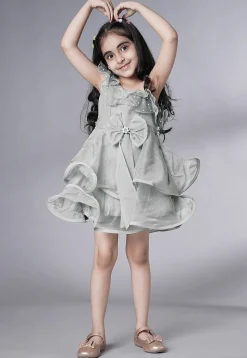 Embellished Organza Dress in Grey
