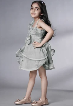 Embellished Organza Dress in Grey
