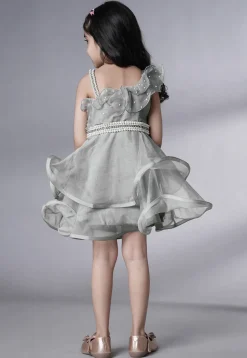 Embellished Organza Dress in Grey