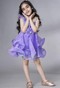 Embellished Organza Dress in Purple