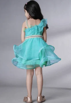 Embellished Organza Dress in Sky Blue